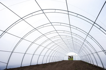 Greenhouse tunnel interior