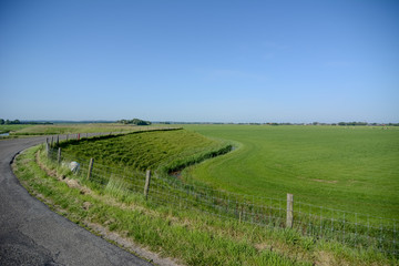 Dutch landscape with dyke and meadow