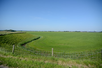 Dutch landscape with dyke and meadow
