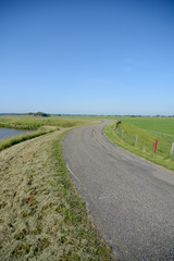Dutch landscape with dyke and meadow
