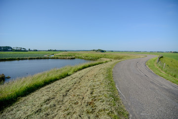 Fototapeta na wymiar Dutch landscape with dyke and meadow