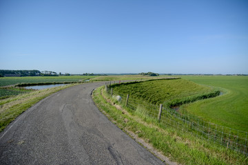 Fototapeta na wymiar Dutch landscape with dyke and meadow