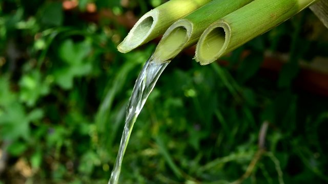Wash your hands from the traditional bamboo fountain human