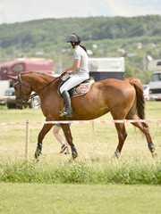 show jumping
