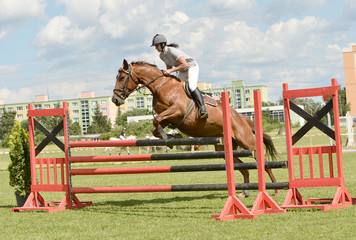 show jumping