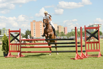 horse jumping