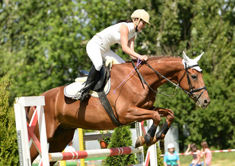 horse jumping