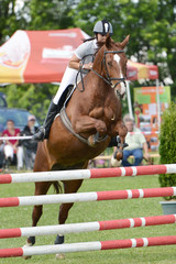 horse jumping