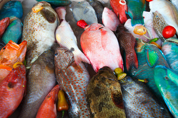 Fish on dislay at fishmarket