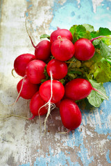 Red radishes bundle a