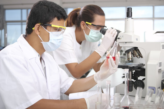  young female scientist and male scientist  in  laboratory