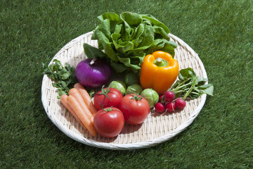 色鮮やかな野菜