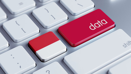 Fototapeta premium Indonesia Data Concept