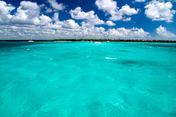 tropical sea