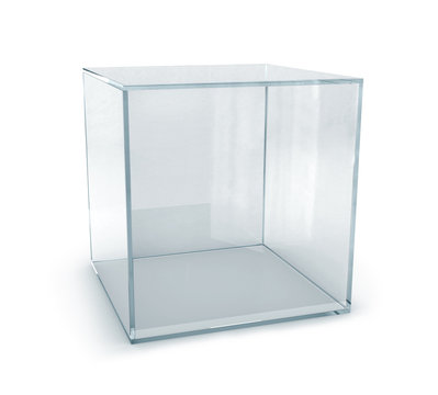 3D Empty Glass Box For Exhibit