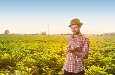 Happy farmer holding potatoes in front of field