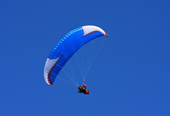 paraglider