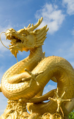 Statue of golden dragon with blue sky