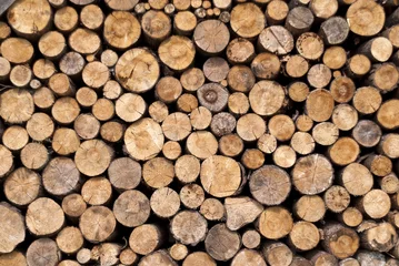 Möbelaufkleber Holzstapel © crimson
