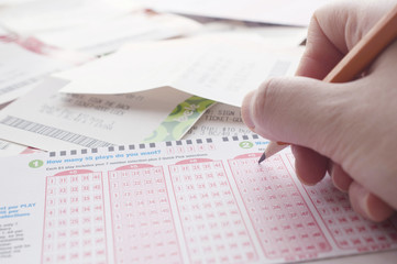 Naklejka premium Person marking number on lottery ticket