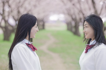 桜をバックに向かい合う高校生