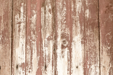 Obraz premium wall wood vintage background