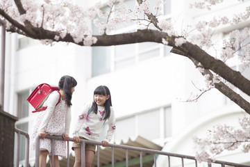 桜を見つめる小学生