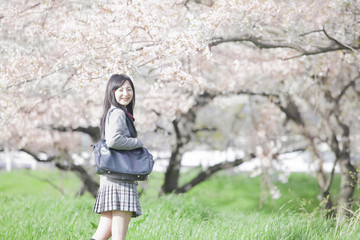 桜をバックに立つ高校生