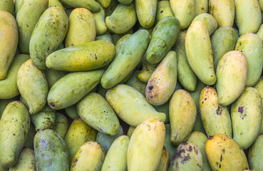 A Bundle of Mangoes ( mango )