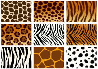 Collection of animals skins textures