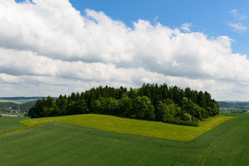 Wäldchen auf einem Hügel zwischen Feldern