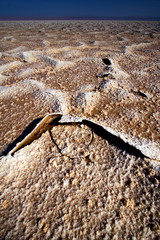 chott el jerid,tunisia