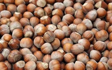 Hazelnuts