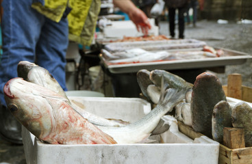 Fish market in Catania, Italia.