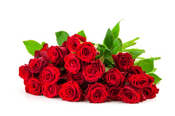 bouquet of red roses on a white background