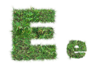 letter E on green grass isolated