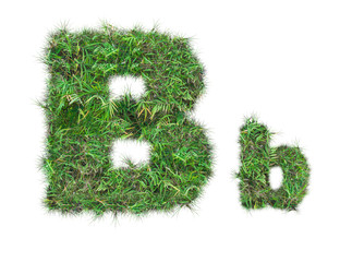 letter B on green grass isolated