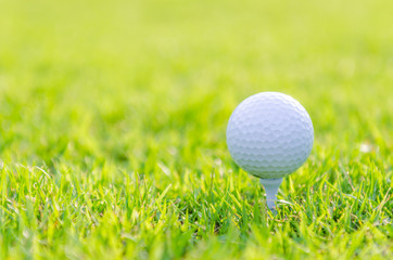 Golf ball on green grass