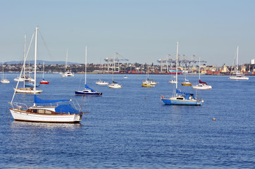 Obraz premium Boats mooring in Waitemata Harbour New Zealand