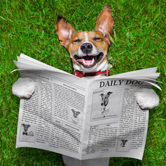 dog reading newspaper