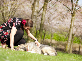 Obraz na płótnie Canvas Beautiful girl petting her dog during a walk in the park