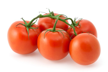 Red tomatoes on a branch