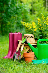 Gardening tools on green background and grass