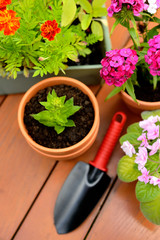 Flower pots and shovel pot in green garden