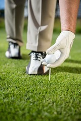 Golfer placing golf ball on tee - obrazy, fototapety, plakaty