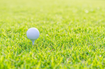 Golf ball on green grass