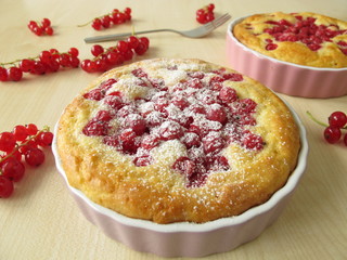 Kleine Johannisbeerkuchen mit Puderzucker