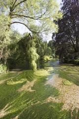 River test flowing through Hampshire England UK
