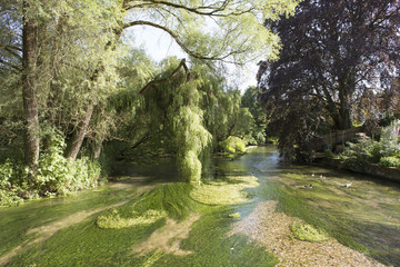 River test flowing through Hampshire England UK