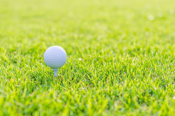 Golf ball on green grass